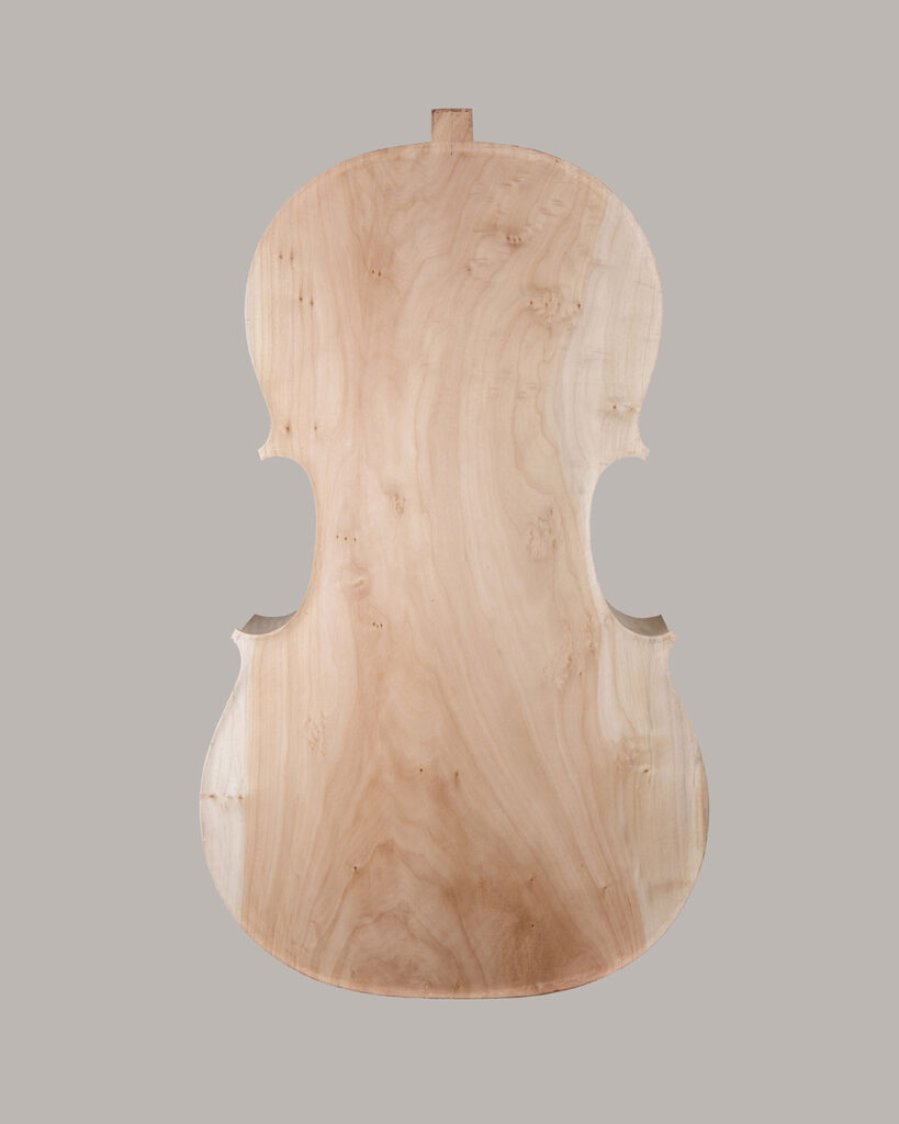 Fond de violoncelle en saule